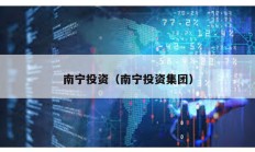 南寧投資（南寧投資集團）