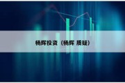 楊輝投資（楊輝 質(zhì)疑）