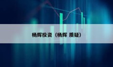 楊輝投資（楊輝 質疑）