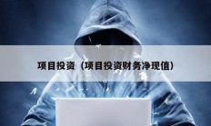 項目投資（項目投資財務凈現值）