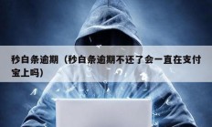 秒白條逾期（秒白條逾期不還了會一直在支付寶上嗎）