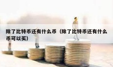 除了比特幣還有什么幣（除了比特幣還有什么幣可以買）