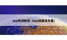 app投資融資（app投融資方案）