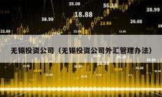 無錫投資公司（無錫投資公司外匯管理辦法）