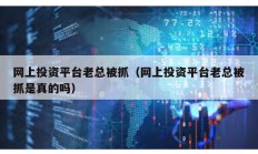 網(wǎng)上投資平臺老總被抓（網(wǎng)上投資平臺老總被抓是真的嗎）