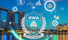 Web3律師25年解讀：RWA項目落地海外如何選擇發幣主體？新加坡基金會仍是“香餑餑”？
