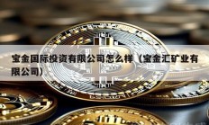 寶金國際投資有限公司怎么樣（寶金匯礦業有限公司）