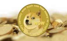狗狗幣今天價格,中國唯一合法數字貨幣