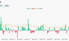 劇烈回調才是牛市標志 比特幣很快將劍指12萬美元？