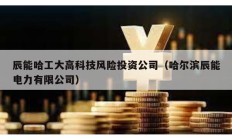 辰能哈工大高科技風(fēng)險(xiǎn)投資公司（哈爾濱辰能電力有限公司）