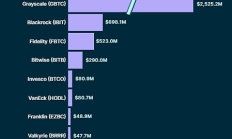 美國現貨比特幣 ETF 積累了多少資產？