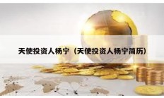 天使投資人楊寧（天使投資人楊寧簡歷）