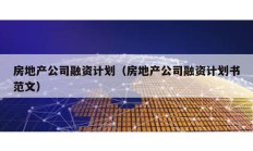 房地產(chǎn)公司融資計(jì)劃（房地產(chǎn)公司融資計(jì)劃書范文）