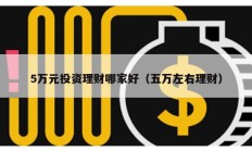 5萬元投資理財(cái)哪家好（五萬左右理財(cái)）