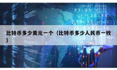 比特幣多少美元一個（比特幣多少人民幣一枚）