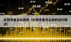 比特幣是怎么樣的（比特幣是怎么樣的運(yùn)行模式）