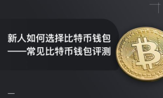 比特幣本地錢包,德國政府錢包地址轉出200枚BTC