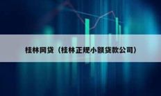 桂林網貸（桂林正規小額貸款公司）