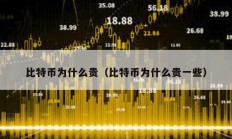 比特幣為什么貴（比特幣為什么貴一些）