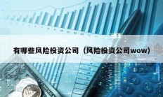 有哪些風險投資公司（風險投資公司wow）