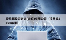 淡馬錫投資咨詢(北京)有限公司（淡馬錫2020年報）