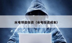 水電項目投資（水電投資成本）