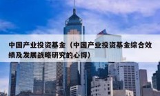 中國產業投資基金（中國產業投資基金綜合效績及發展戰略研究的心得）