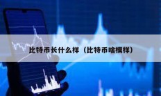 比特幣長什么樣（比特幣啥模樣）