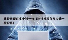 比特幣現(xiàn)在多少錢一枚（比特幣現(xiàn)在多少錢一枚價格）