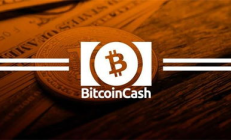 bch 錢包,bk錢包是什么錢包