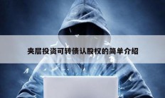 夾層投資可轉(zhuǎn)債認股權(quán)的簡單介紹