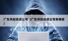 廣東風(fēng)險(xiǎn)投資公司（廣東風(fēng)險(xiǎn)投資公司有哪些）