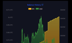 薩爾瓦多購入5.69億美元BTC 目前持有數量超6000枚