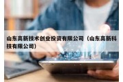 山東高新技術(shù)創(chuàng)業(yè)投資有限公司（山東高新科技有限公司）