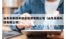 山東高新技術(shù)創(chuàng)業(yè)投資有限公司（山東高新科技有限公司）