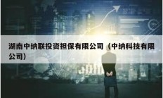湖南中納聯(lián)投資擔(dān)保有限公司（中納科技有限公司）
