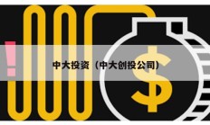中大投資（中大創(chuàng)投公司）