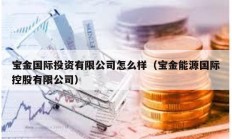 寶金國際投資有限公司怎么樣（寶金能源國際控股有限公司）