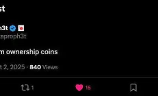 “我們稱之為所有權幣”：DAO治理創新