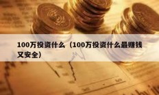 100萬投資什么（100萬投資什么最賺錢又安全）