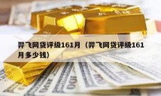 羿飛網(wǎng)貸評級161月（羿飛網(wǎng)貸評級161月多少錢）