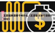 王思聰網(wǎng)貸那個叫什么（王思聰欠銀行貸款500億）