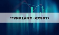 20家網(wǎng)貸全面爆發(fā)（網(wǎng)貸爆發(fā)了）