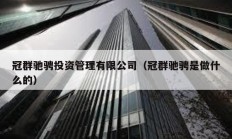 冠群馳騁投資管理有限公司（冠群馳騁是做什么的）