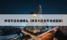 網貸不還會通緝么（網貸不還會不會進監獄）