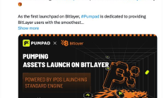 Bitlayer 生態項目盤點
