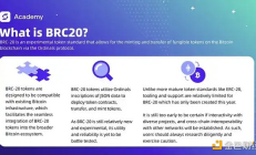 機遇與風險：探索新「BRCFi」敘事