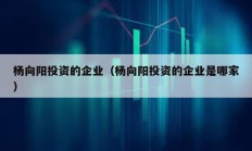楊向陽投資的企業（楊向陽投資的企業是哪家）