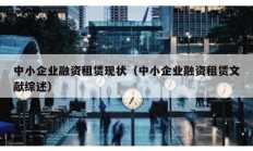 中小企業(yè)融資租賃現(xiàn)狀（中小企業(yè)融資租賃文獻綜述）