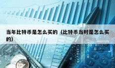 當年比特幣是怎么買的（比特幣當時是怎么買的）